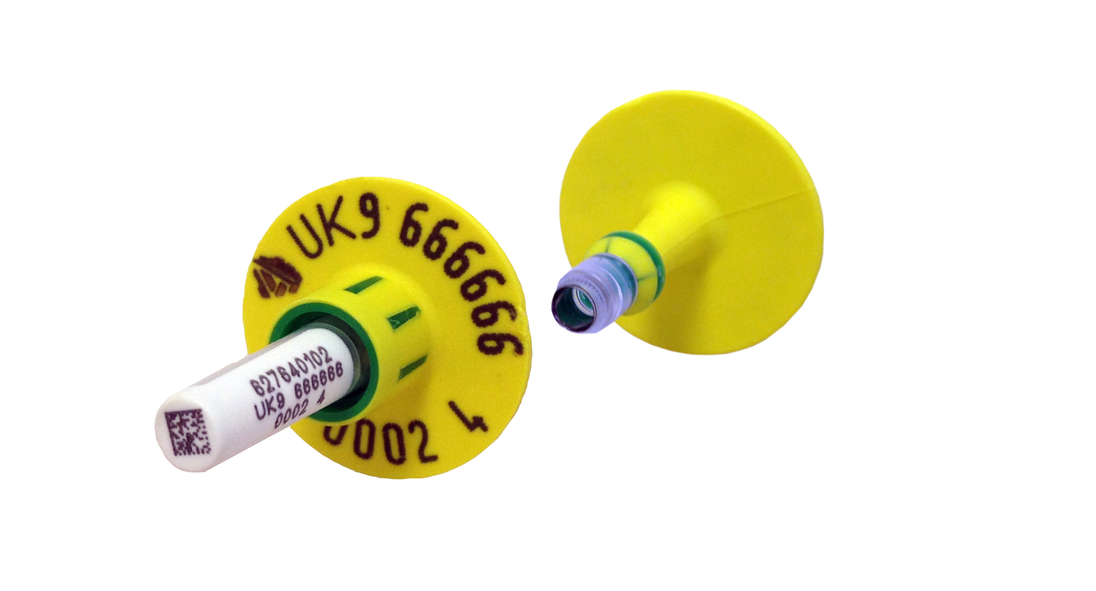 Green Caisley FLEXO TST Button single tag