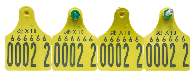 New Cattle Tags
