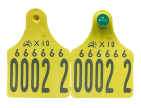Replacement Cattle Tags