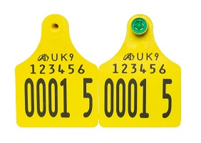 Replacement Cattle Tags