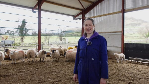 Sixth Generation Hill Farmer smiling in shed with sheep
