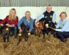Waringstown Quad Calves receive ear tags from Countryside Services Photo