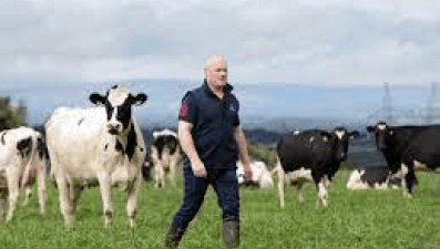 male farmer in field