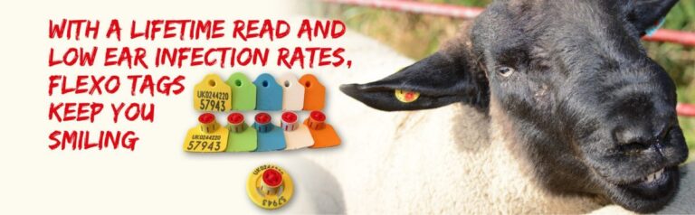 7285_CSL-Web-sliders2202-1200x372