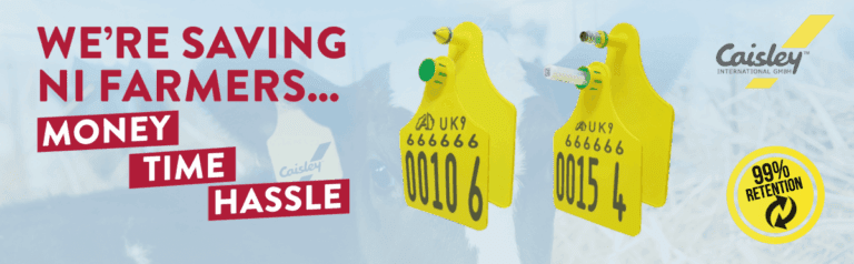 country_banner-1200x372