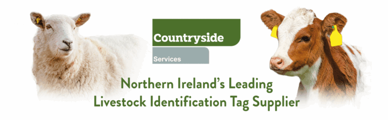 csl-web-banner-20241-1200x372