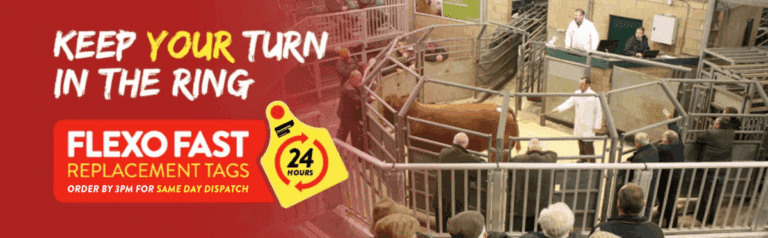 flexo-fast-csl-1200x372