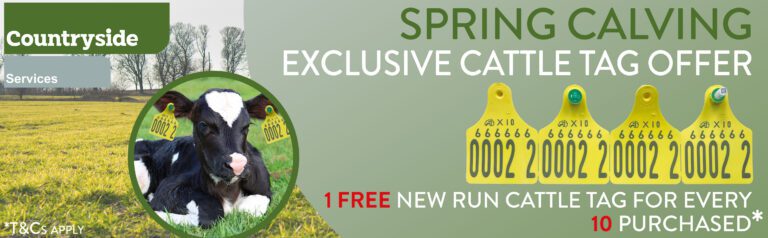 CSL_Direct---Spring-Cattle-Tag-Offer--Website-Banner